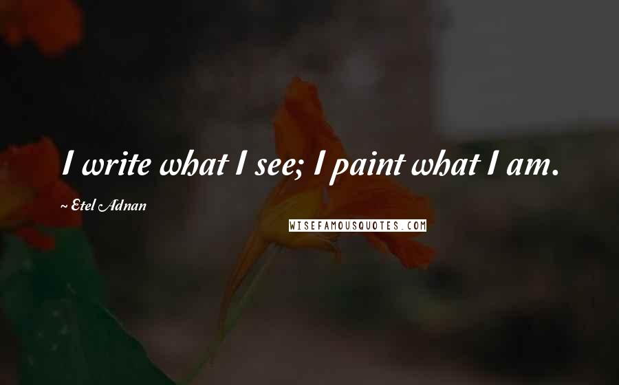 Etel Adnan Quotes: I write what I see; I paint what I am.