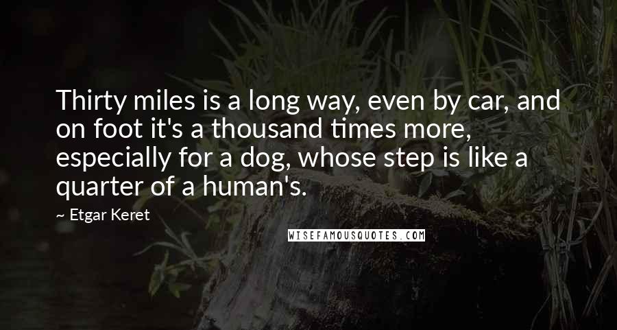 Etgar Keret Quotes: Thirty miles is a long way, even by car, and on foot it's a thousand times more, especially for a dog, whose step is like a quarter of a human's.