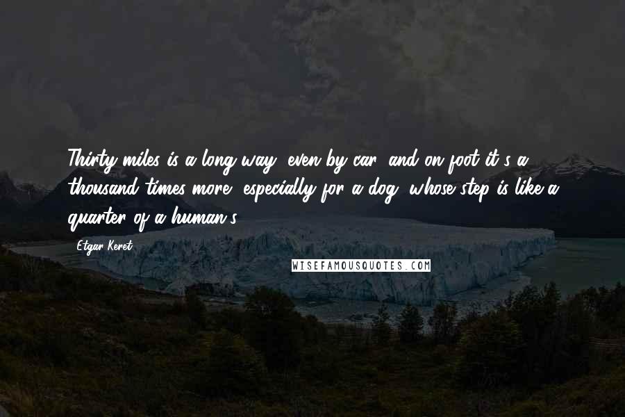 Etgar Keret Quotes: Thirty miles is a long way, even by car, and on foot it's a thousand times more, especially for a dog, whose step is like a quarter of a human's.