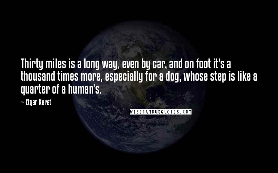 Etgar Keret Quotes: Thirty miles is a long way, even by car, and on foot it's a thousand times more, especially for a dog, whose step is like a quarter of a human's.