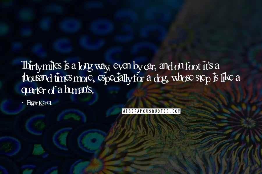 Etgar Keret Quotes: Thirty miles is a long way, even by car, and on foot it's a thousand times more, especially for a dog, whose step is like a quarter of a human's.