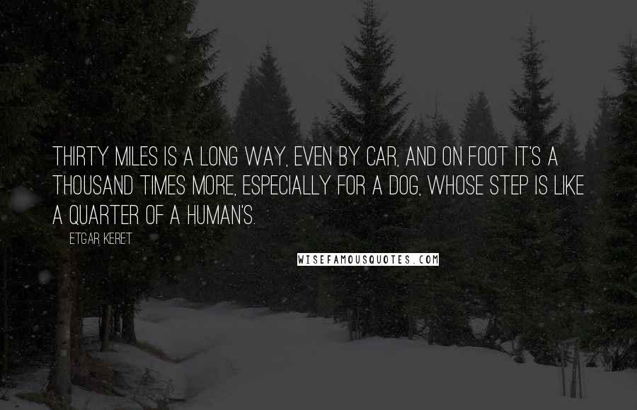 Etgar Keret Quotes: Thirty miles is a long way, even by car, and on foot it's a thousand times more, especially for a dog, whose step is like a quarter of a human's.