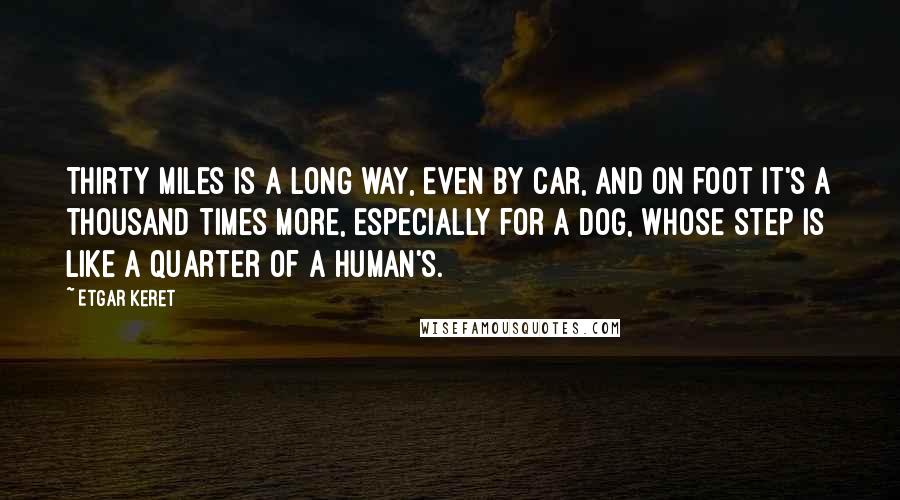 Etgar Keret Quotes: Thirty miles is a long way, even by car, and on foot it's a thousand times more, especially for a dog, whose step is like a quarter of a human's.