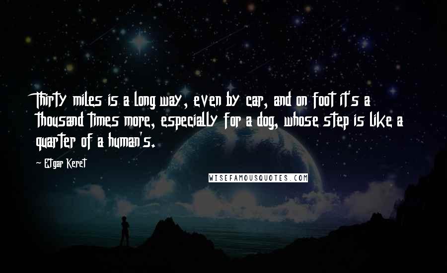 Etgar Keret Quotes: Thirty miles is a long way, even by car, and on foot it's a thousand times more, especially for a dog, whose step is like a quarter of a human's.