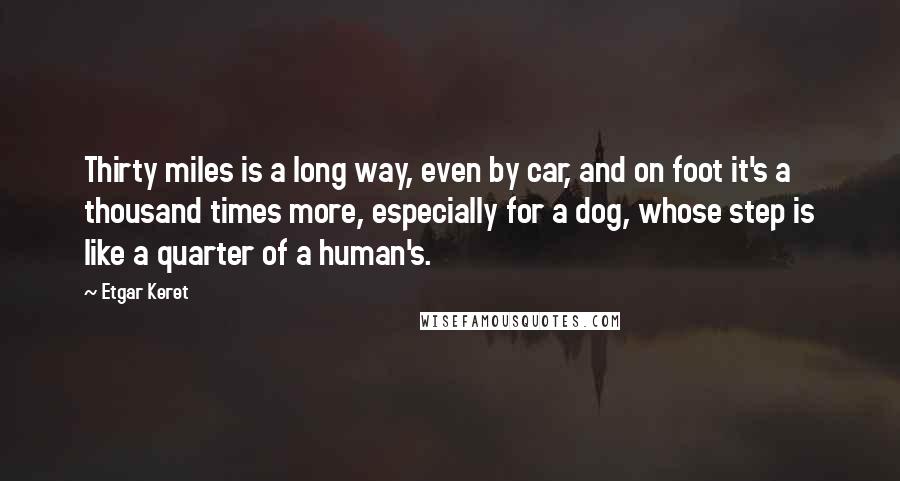 Etgar Keret Quotes: Thirty miles is a long way, even by car, and on foot it's a thousand times more, especially for a dog, whose step is like a quarter of a human's.