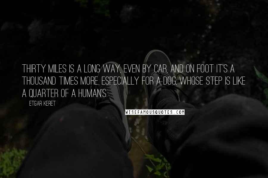 Etgar Keret Quotes: Thirty miles is a long way, even by car, and on foot it's a thousand times more, especially for a dog, whose step is like a quarter of a human's.