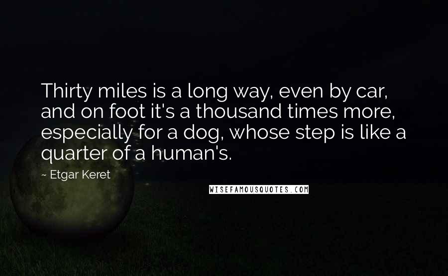 Etgar Keret Quotes: Thirty miles is a long way, even by car, and on foot it's a thousand times more, especially for a dog, whose step is like a quarter of a human's.