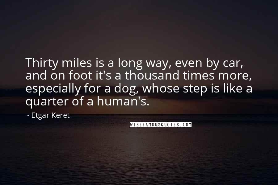 Etgar Keret Quotes: Thirty miles is a long way, even by car, and on foot it's a thousand times more, especially for a dog, whose step is like a quarter of a human's.