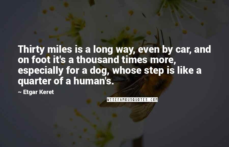 Etgar Keret Quotes: Thirty miles is a long way, even by car, and on foot it's a thousand times more, especially for a dog, whose step is like a quarter of a human's.