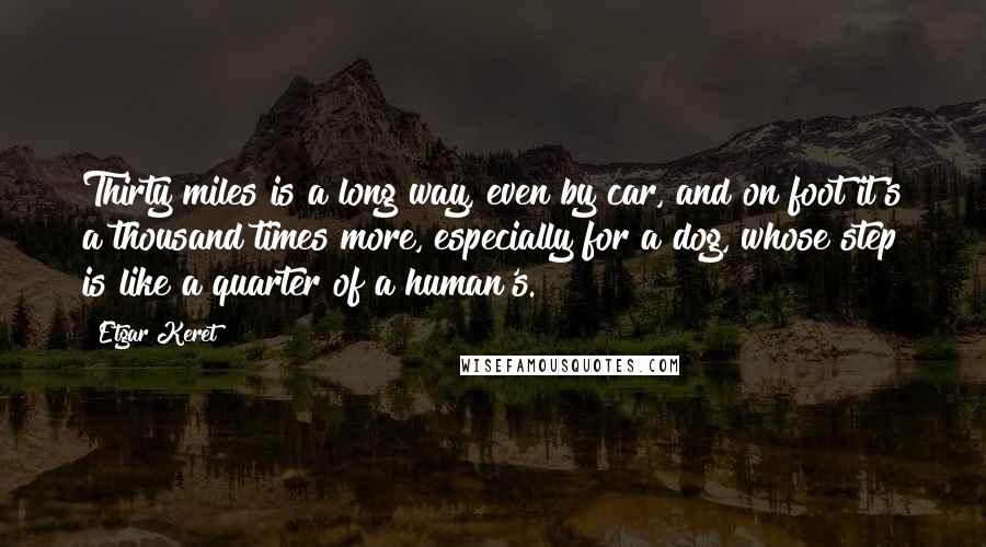 Etgar Keret Quotes: Thirty miles is a long way, even by car, and on foot it's a thousand times more, especially for a dog, whose step is like a quarter of a human's.