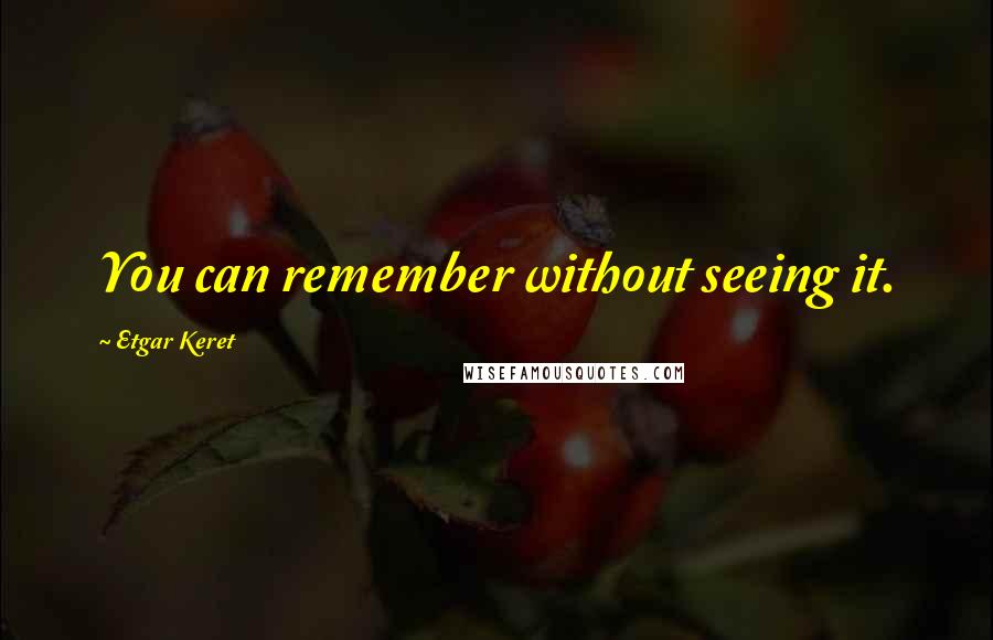 Etgar Keret Quotes: You can remember without seeing it.