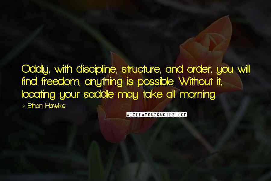 Ethan Hawke Quotes: Oddly, with discipline, structure, and order, you will find freedom, anything is possible. Without it, locating your saddle may take all morning.