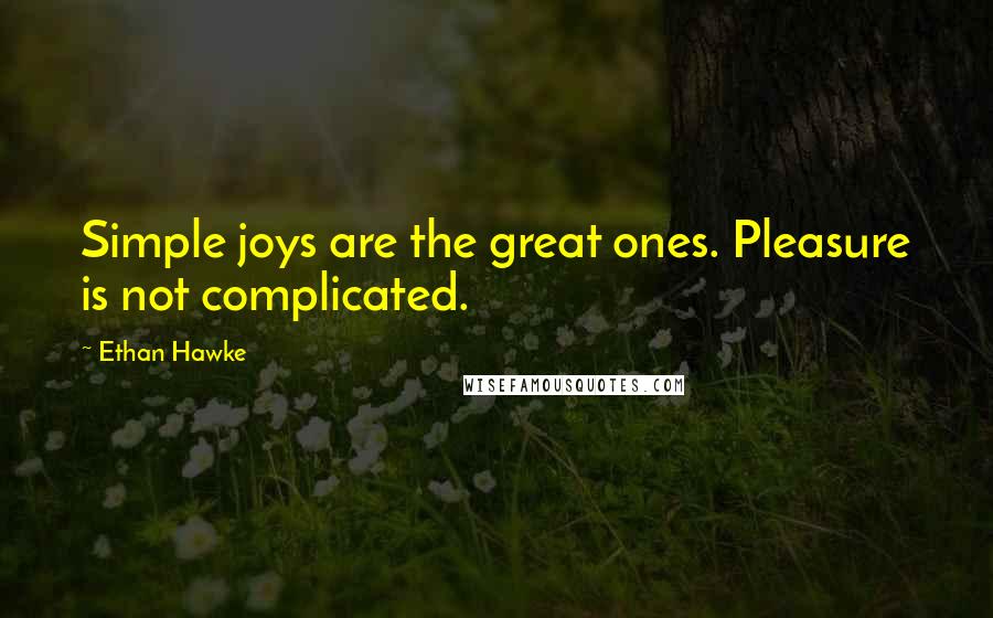 Ethan Hawke Quotes: Simple joys are the great ones. Pleasure is not complicated.