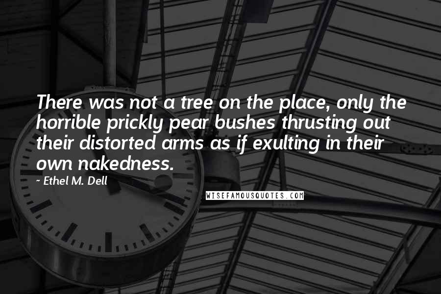 Ethel M. Dell Quotes: There was not a tree on the place, only the horrible prickly pear bushes thrusting out their distorted arms as if exulting in their own nakedness.