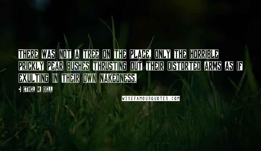 Ethel M. Dell Quotes: There was not a tree on the place, only the horrible prickly pear bushes thrusting out their distorted arms as if exulting in their own nakedness.