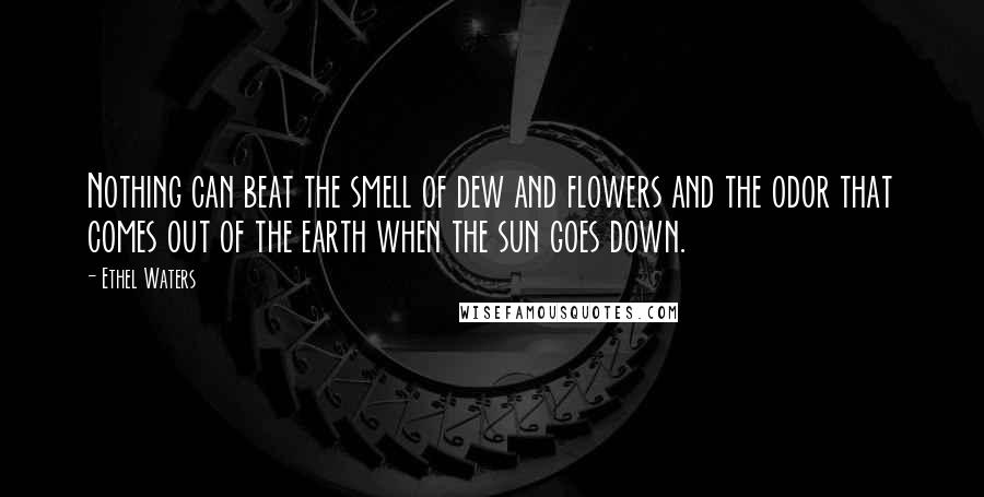 Ethel Waters Quotes: Nothing can beat the smell of dew and flowers and the odor that comes out of the earth when the sun goes down.