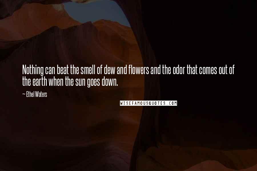 Ethel Waters Quotes: Nothing can beat the smell of dew and flowers and the odor that comes out of the earth when the sun goes down.