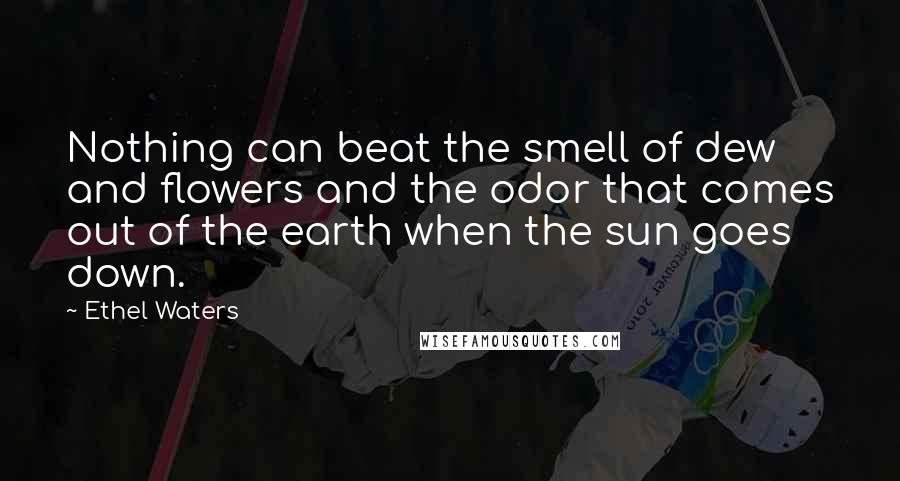 Ethel Waters Quotes: Nothing can beat the smell of dew and flowers and the odor that comes out of the earth when the sun goes down.