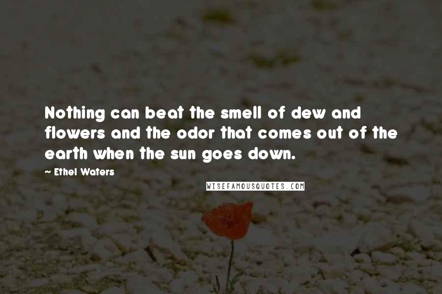 Ethel Waters Quotes: Nothing can beat the smell of dew and flowers and the odor that comes out of the earth when the sun goes down.