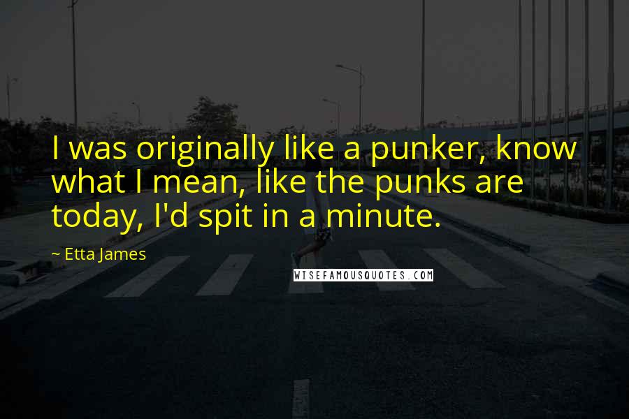 Etta James Quotes: I was originally like a punker, know what I mean, like the punks are today, I'd spit in a minute.