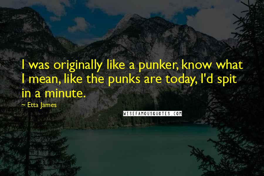 Etta James Quotes: I was originally like a punker, know what I mean, like the punks are today, I'd spit in a minute.