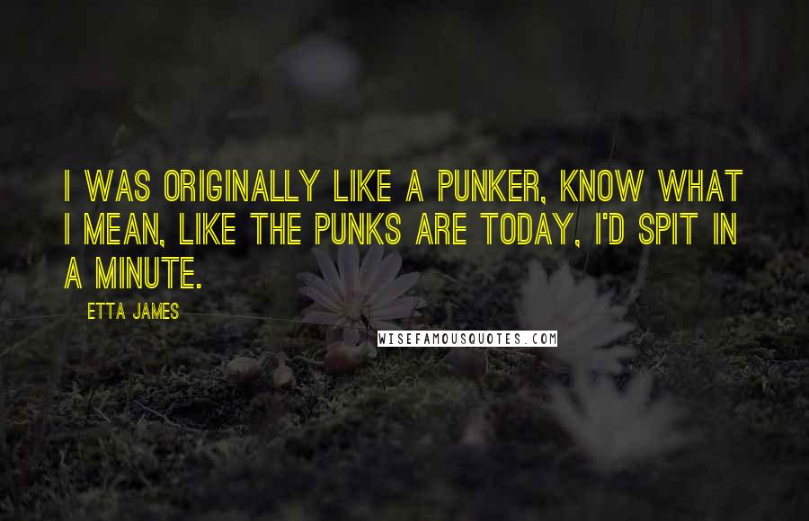 Etta James Quotes: I was originally like a punker, know what I mean, like the punks are today, I'd spit in a minute.