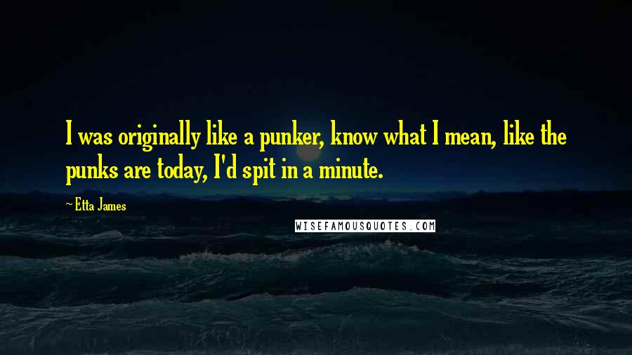 Etta James Quotes: I was originally like a punker, know what I mean, like the punks are today, I'd spit in a minute.