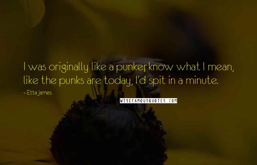 Etta James Quotes: I was originally like a punker, know what I mean, like the punks are today, I'd spit in a minute.