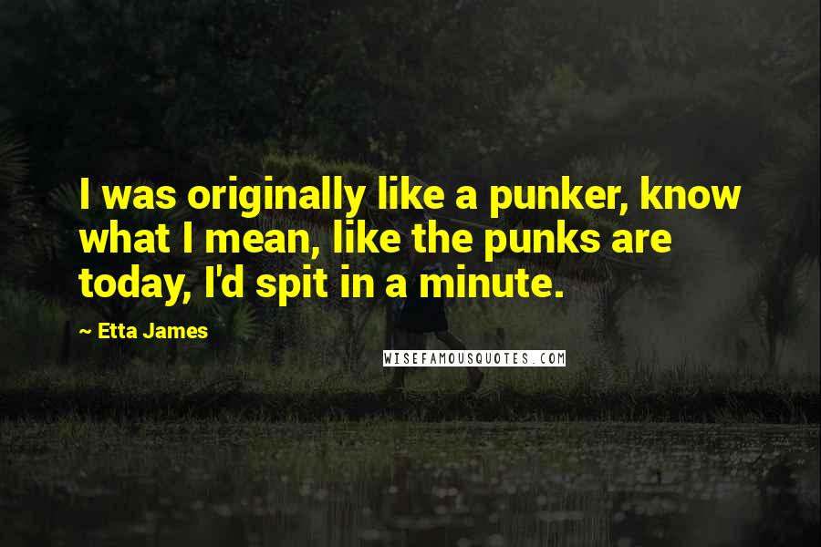 Etta James Quotes: I was originally like a punker, know what I mean, like the punks are today, I'd spit in a minute.