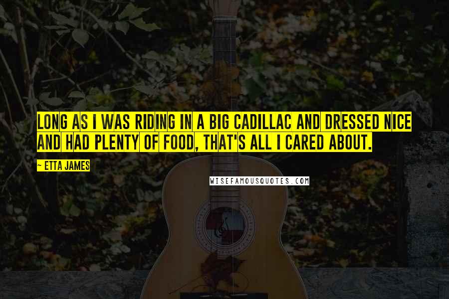 Etta James Quotes: Long as I was riding in a big Cadillac and dressed nice and had plenty of food, that's all I cared about.