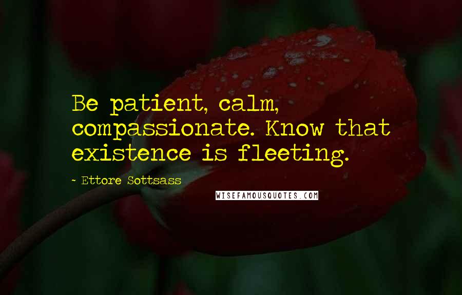 Ettore Sottsass Quotes: Be patient, calm, compassionate. Know that existence is fleeting.