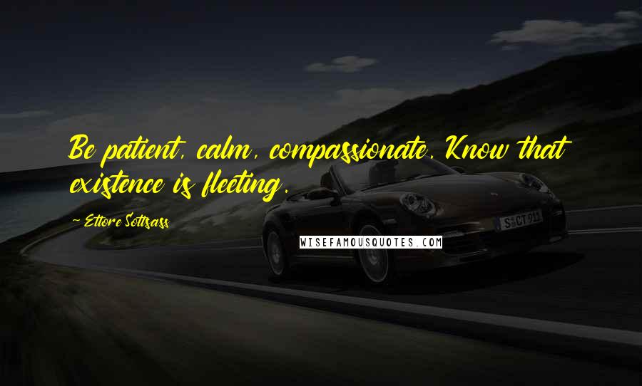 Ettore Sottsass Quotes: Be patient, calm, compassionate. Know that existence is fleeting.