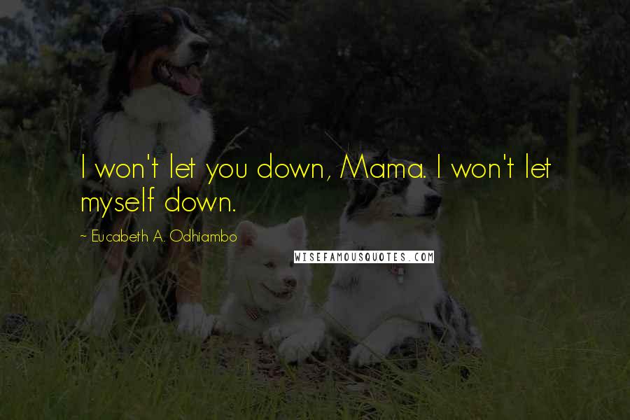 Eucabeth A. Odhiambo Quotes: I won't let you down, Mama. I won't let myself down.