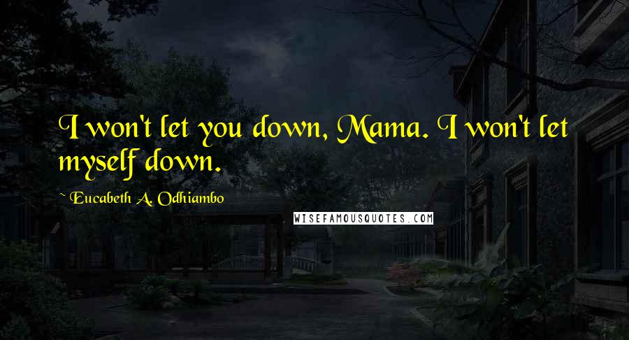 Eucabeth A. Odhiambo Quotes: I won't let you down, Mama. I won't let myself down.