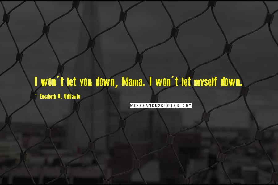 Eucabeth A. Odhiambo Quotes: I won't let you down, Mama. I won't let myself down.