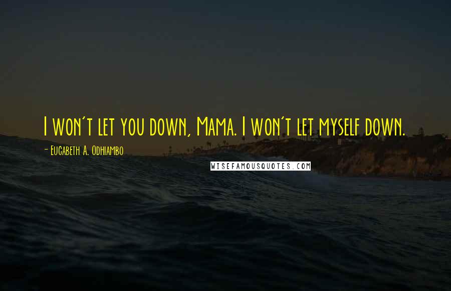 Eucabeth A. Odhiambo Quotes: I won't let you down, Mama. I won't let myself down.