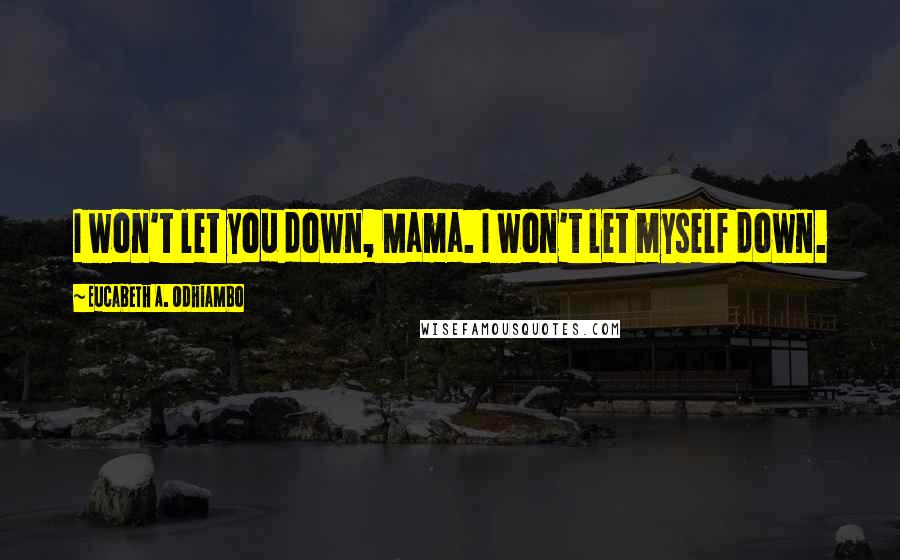 Eucabeth A. Odhiambo Quotes: I won't let you down, Mama. I won't let myself down.