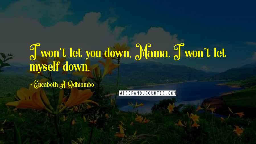 Eucabeth A. Odhiambo Quotes: I won't let you down, Mama. I won't let myself down.