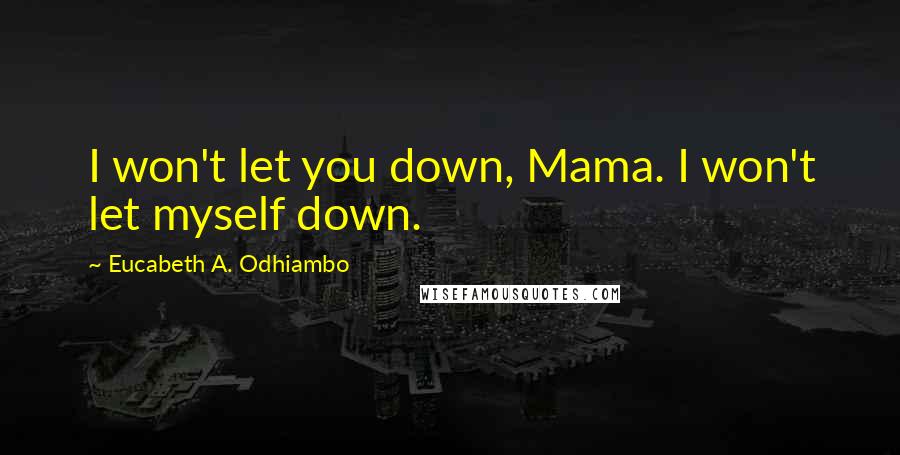 Eucabeth A. Odhiambo Quotes: I won't let you down, Mama. I won't let myself down.