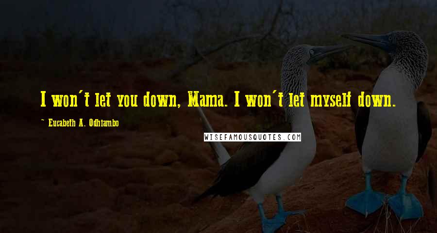 Eucabeth A. Odhiambo Quotes: I won't let you down, Mama. I won't let myself down.