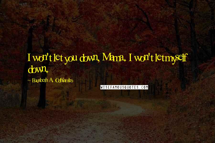 Eucabeth A. Odhiambo Quotes: I won't let you down, Mama. I won't let myself down.