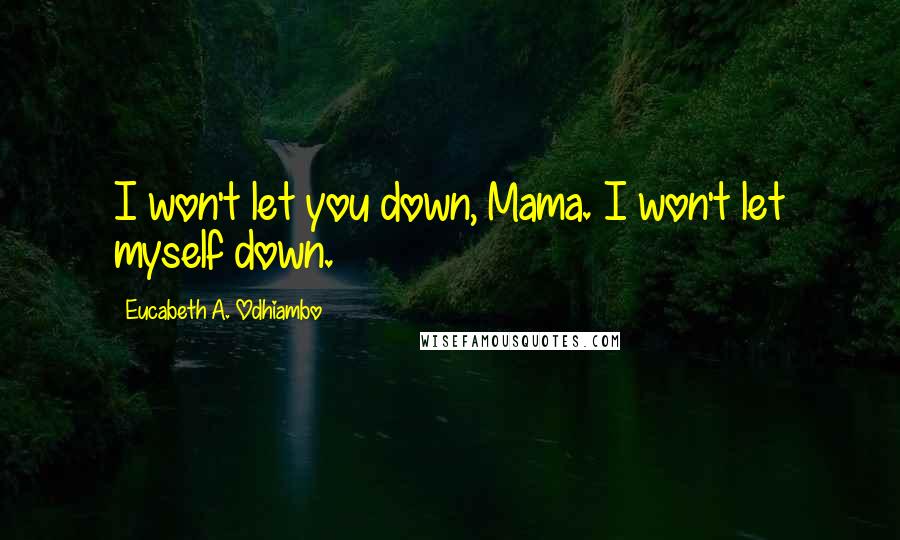 Eucabeth A. Odhiambo Quotes: I won't let you down, Mama. I won't let myself down.