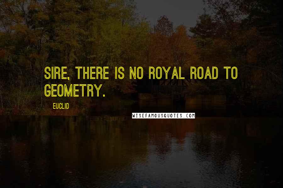 Euclid Quotes: Sire, there is no royal road to geometry.