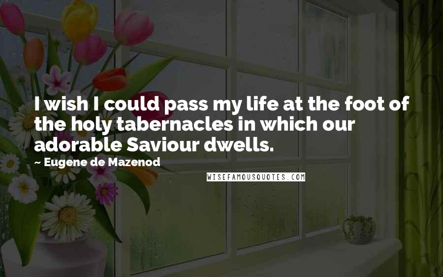 Eugene De Mazenod Quotes: I wish I could pass my life at the foot of the holy tabernacles in which our adorable Saviour dwells.