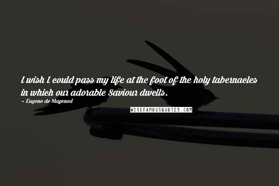Eugene De Mazenod Quotes: I wish I could pass my life at the foot of the holy tabernacles in which our adorable Saviour dwells.