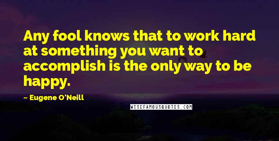 Eugene O'Neill Quotes: Any fool knows that to work hard at something you want to accomplish is the only way to be happy.