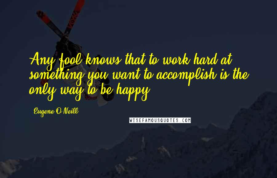 Eugene O'Neill Quotes: Any fool knows that to work hard at something you want to accomplish is the only way to be happy.