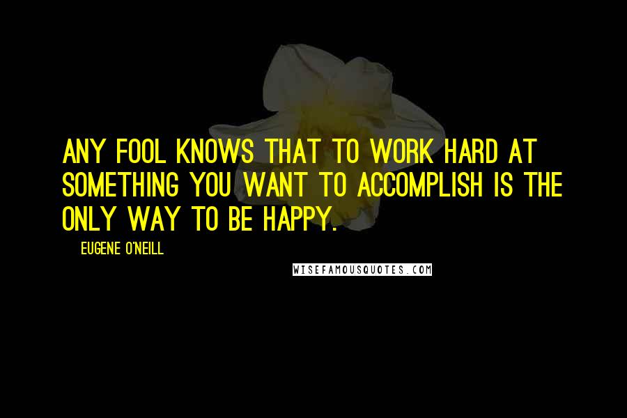 Eugene O'Neill Quotes: Any fool knows that to work hard at something you want to accomplish is the only way to be happy.