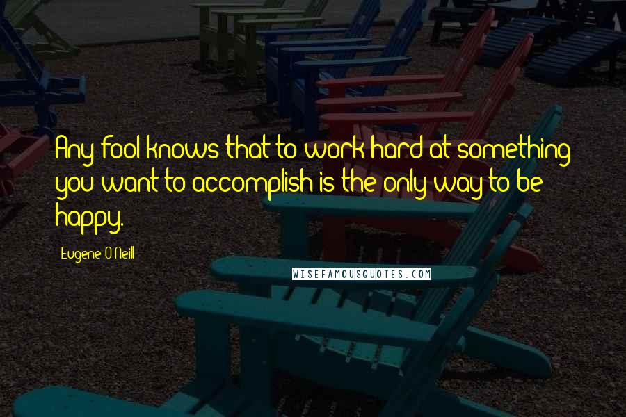 Eugene O'Neill Quotes: Any fool knows that to work hard at something you want to accomplish is the only way to be happy.