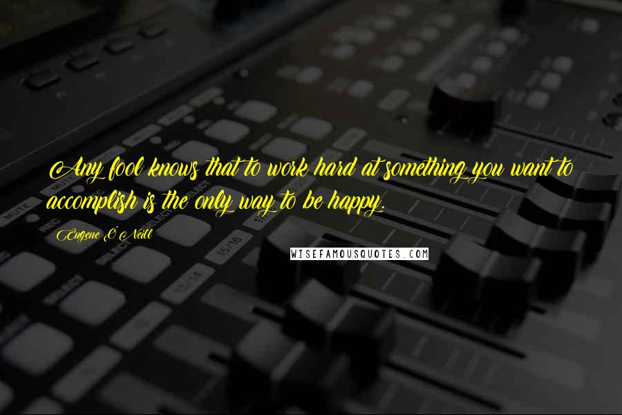 Eugene O'Neill Quotes: Any fool knows that to work hard at something you want to accomplish is the only way to be happy.